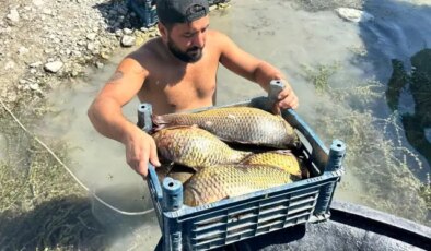 Denizi olmayan ilde balıkçılıktan aylık 200 bin TL kazanıyor
