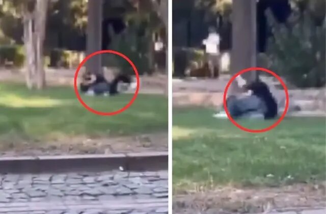 Gencecik kızlar saç başa kavga etti, çevredekiler film izler gibi seyretti