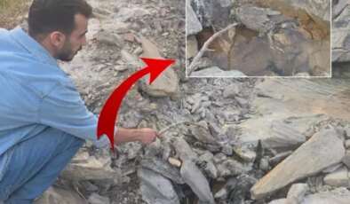 Hakkari’de gizemli vadi! İnsanlara şifa, hayvanlara ölüm getiriyor