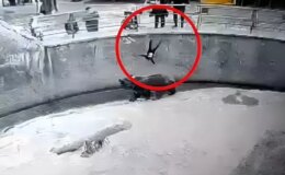Hayvanat bahçesinde kafese attığı 7 yaşındaki kızını bıçaklayarak öldürdü