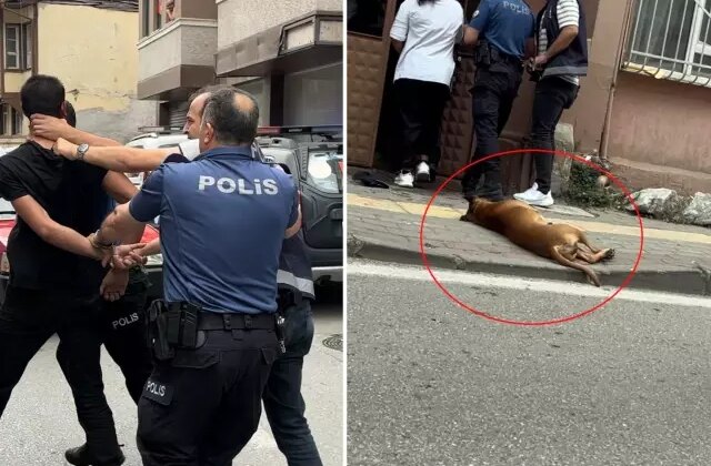İhbara gelen ekiplerin üzerine pitbull köpeğini saldı
