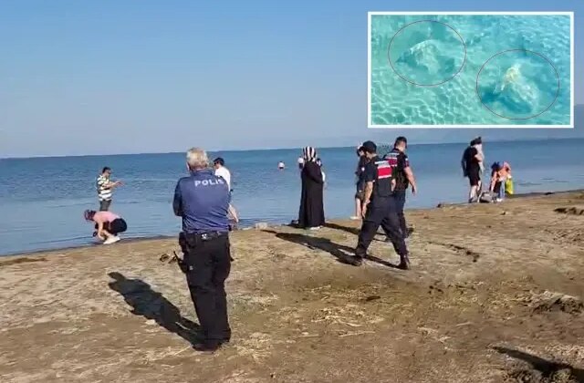 İznik Gölü’nde tarihi sütun başlıkları bulundu