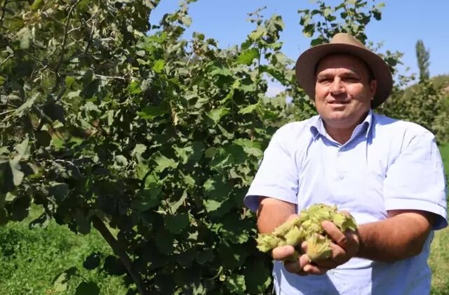 Karadeniz’in fındığını bambaşka coğrafyada yetiştirdi: Kimse inanmıyor