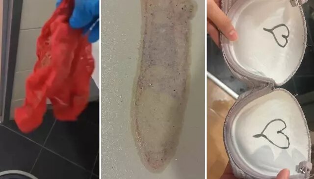 Kız yurduna tadilat için gelen işçilerin yaptıkları mide bulandırdı: Sütyenlerin içine…