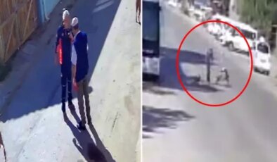 “Köpeklerimi sen mi şikayet ettin” diyerek yaşlı adamı tekme tokat dövdü