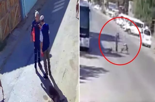 “Köpeklerimi sen mi şikayet ettin” diyerek yaşlı adamı tekme tokat dövdü