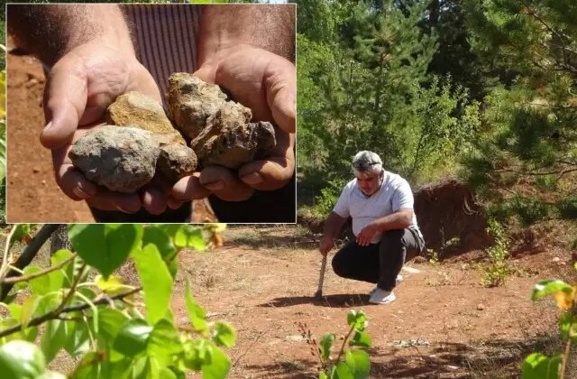 Fiyatı gram altınla yarışıyor: Bir ilimizde vatandaşın yüzünü güldüren taş
