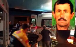 Koyunu kurtarmak isterken canından oluyordu
