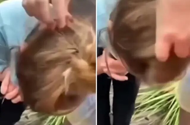 Küçük çocuğun saçının içinden sincap çıktı