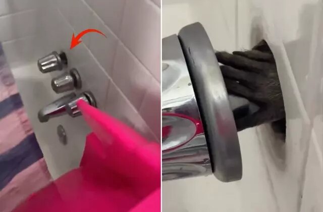Otel banyosunda korku filmlerini aratmayan manzara