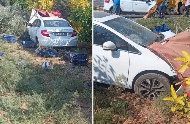 Otomobil, hasat yapan işçilere çarptı: 1 ölü, 3 yaralı
