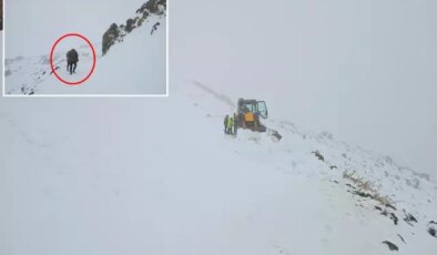 Şehirde kar kalınlığı 30 santimetreyi buldu, çoban sürüsüyle birlikte mahsur kaldı