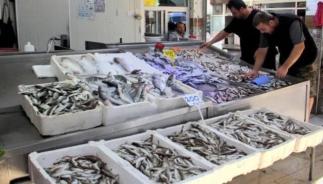 Palamutun yerini mezgit ve barbun aldı, balık fiyatları cep yaktı