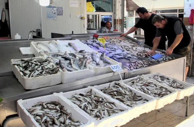 Palamutun yerini mezgit ve barbun aldı, balık fiyatları cep yaktı