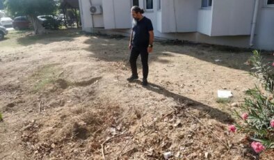 Tam 14 metre uzunluğunda! 4 yıl boyunca toprak altında kaldı, şimdi yeniden çıkarılacak