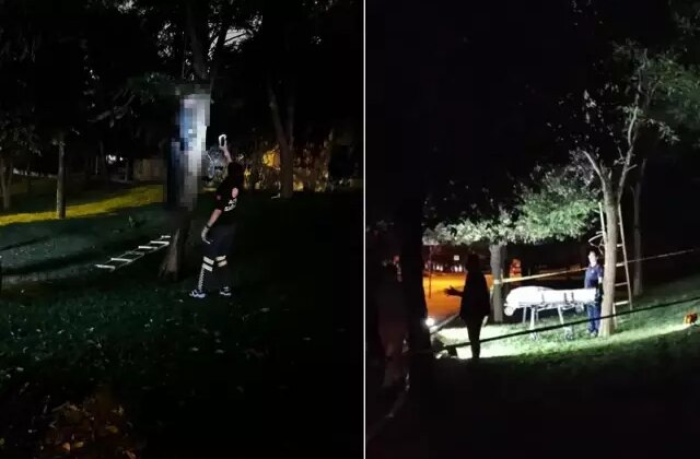 İstanbul’un göbeğinde korkunç olay! Ağaca asılı bulundu