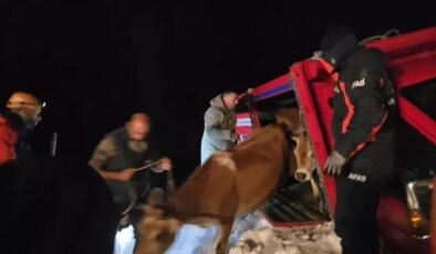 Yaylada içinde 15 kişi olan araçların üzerine çığ düştü