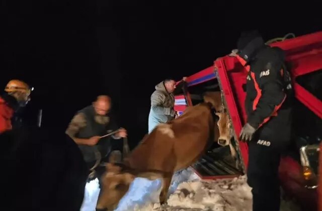 Yaylada içinde 15 kişi olan araçların üzerine çığ düştü
