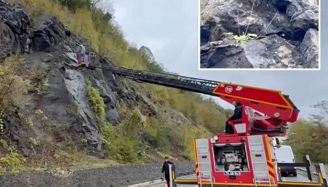 Kayalıklardan sarkan kablolar korkuttu! 19 yıllık gerçek ortaya çıktı