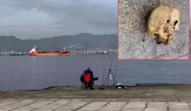Balık tutarken dehşeti yaşadı: Oltaya insan kafatası takıldı