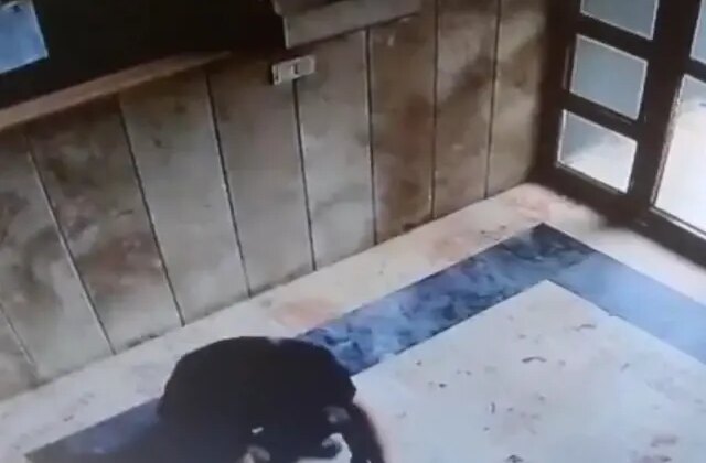 İşkenceyle öldürülen “Cezve”nin katiline indirimsiz 3 yıl 8 ay hapis