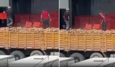 Belediyeye ait fırında infial yaratan görüntü