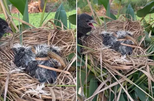 Bir annenin çaresizliği: Kayda alan kişi müdahale etmedi, videoyu izleyenler kahroldu