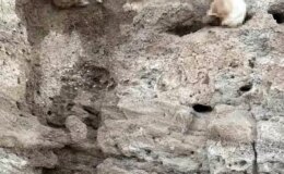 Yozgat’ta toprak altından insan kemikleri çıktı