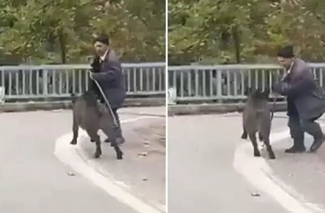 Sesleri duydu, dönüp arkasına bakınca şok yaşadı! Hala hayatta olması mucize