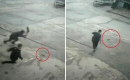 Dükkana giren fare esnafı çileden çıkardı! Hem güldüler hem kovmaya çalıştılar
