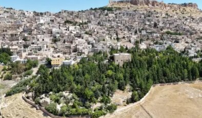 Dünyaya örnek olacak hikaye! Evlat gibi büyüttü, şimdi korunmasını istiyor