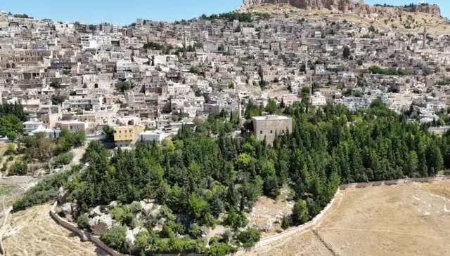 Dünyaya örnek olacak hikaye! Evlat gibi büyüttü, şimdi korunmasını istiyor