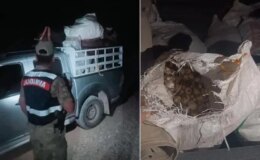 Endemik dağ sarımsağı toplayan kişiye 557 bin lira ceza