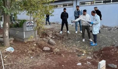 Eşinin kabrini ziyarete giden şahıs, mezarda korkunç manzarayla karşılaştı