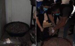 Gastronomi şehrinde mide bulandıran görüntüler! Düğünlere ve lokantalara vereceklerdi