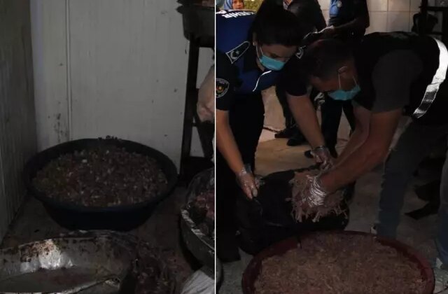 Gastronomi şehrinde mide bulandıran görüntüler! Düğünlere ve lokantalara vereceklerdi