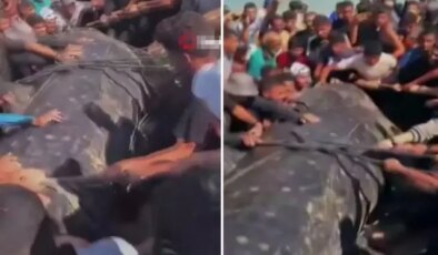 Gazze’de yaklaşık 10 metre uzunluğundaki dev balık karaya vurdu
