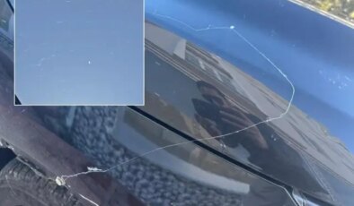 Görüntü Türkiye’den! Gökyüzünden örümcek ağı yağdı