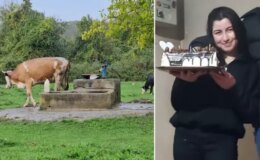 Hasret’in cesedi su kuyusunda bulundu! Şüpheli 5 kişinin katili çıktı