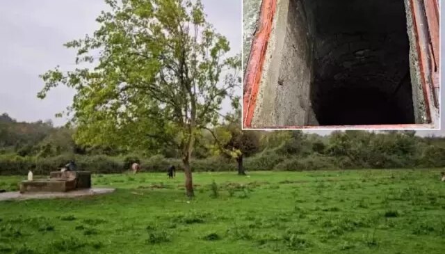 Hayvan otlatmaya geldiler, manzara karşısında şok oldular!