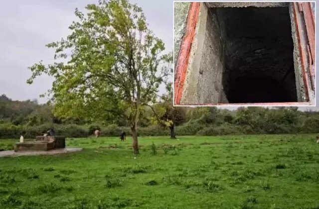 Hayvan otlatmaya geldiler, manzara karşısında şok oldular!
