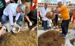 Hükümlüler cezaevinde yetiştirdi, kilosu 15 bin TL’den satılıyor