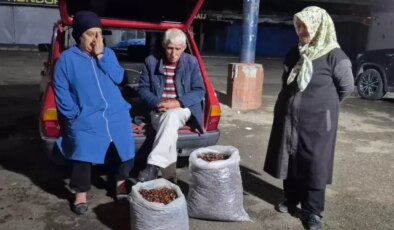 İki kişi 5 günde topladı, çuvalı 22 bin TL’ye satıldı