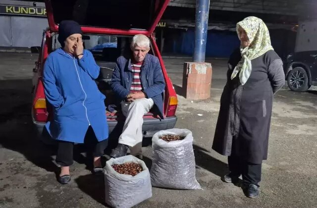 İki kişi 5 günde topladı, çuvalı 22 bin TL’ye satıldı