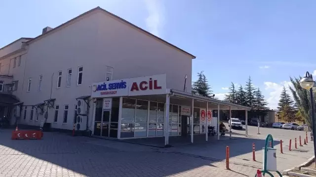 Kahramanmaraş’ta arı sokması sonucu 9 yaşındaki kız çocuğu hayatını kaybetti