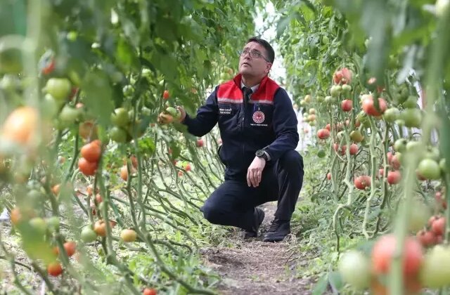 Bu görüntü 6 ay kar yağan ilden! Verim ihya etti, herkes yapmak istiyor