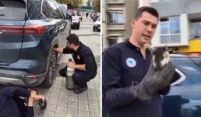 Kediyi otomobilden çıkarmak için hava tüpü kullandılar