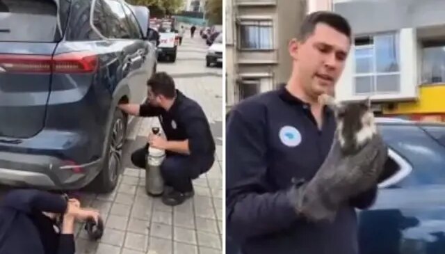 Kediyi otomobilden çıkarmak için hava tüpü kullandılar