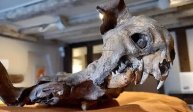 Kilisenin duvarları arasından çıktı, tarihçileri dahi şaşırttı