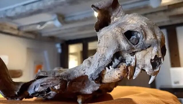 Kilisenin duvarları arasından çıktı, tarihçileri dahi şaşırttı